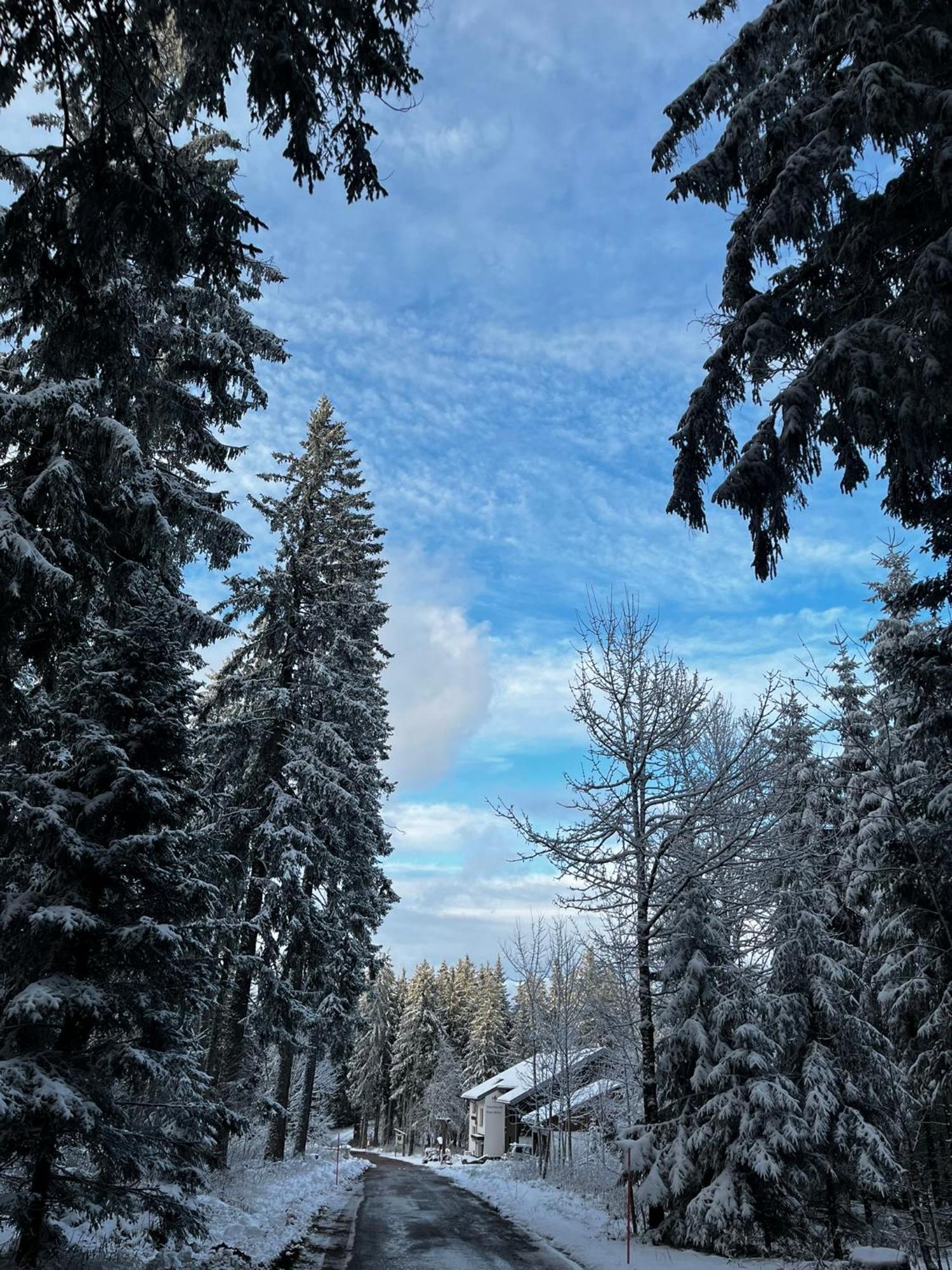 Naturfreundehaus Brend Furtwangen Ngoại thất bức ảnh